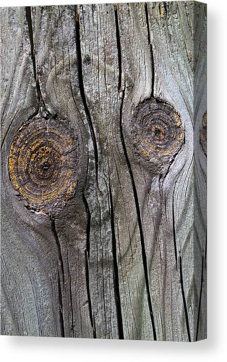 Wood Canvas Print featuring the photograph Happy Face by Mary Bedy