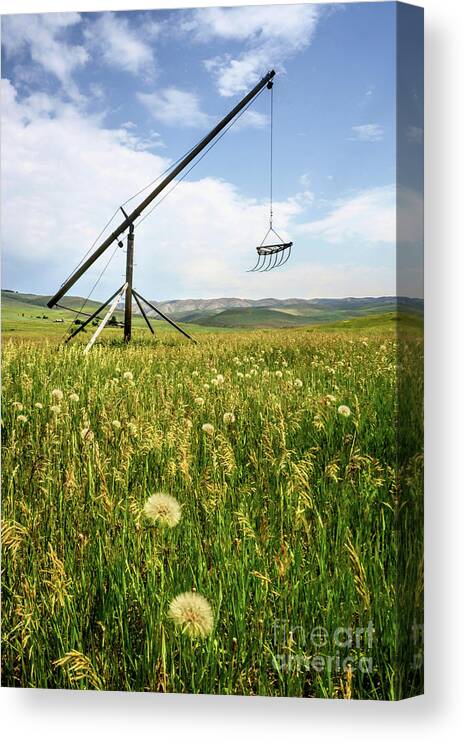 Chesterfield Canvas Print featuring the photograph Hay Fork by Roxie Crouch