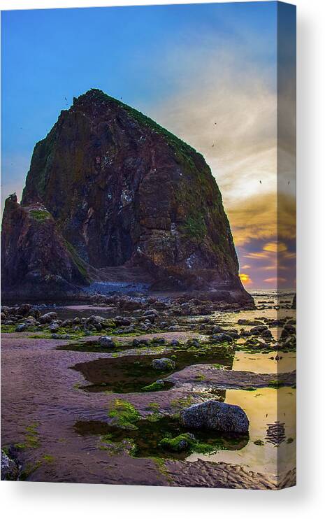 Oregon Canvas Print featuring the photograph Haystack Rock - low tide by David Lee