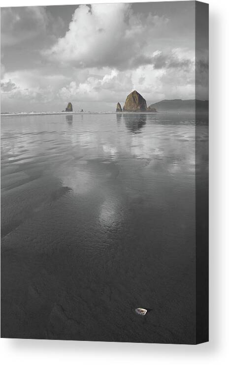 Haystack Shell Canvas Print featuring the photograph Haystack Shell by Dylan Punke