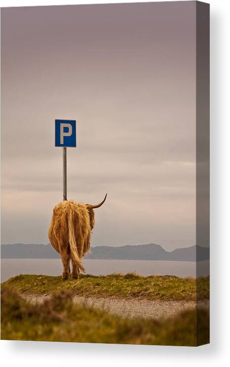 Whimsical Canvas Print featuring the photograph Her Favourite Pick-nick Spot In The Highlands by Dorit Fuhg