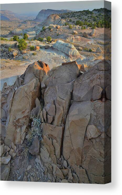 Grand Junction Canvas Print featuring the photograph High Above Bentonite Quarry and Bang's Canyon by Ray Mathis