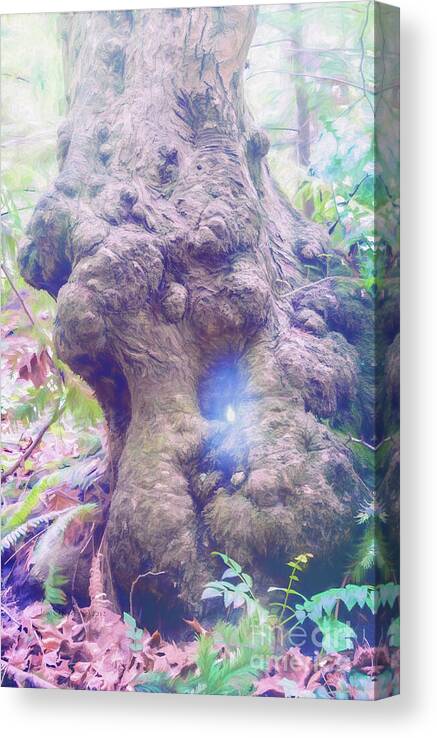 Tree Canvas Print featuring the digital art Hobbit House by Jean OKeeffe Macro Abundance Art