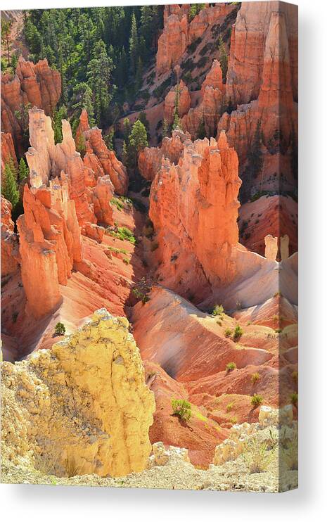 Bryce Canyon National Park Canvas Print featuring the photograph Hoodoo Gulley by Ray Mathis