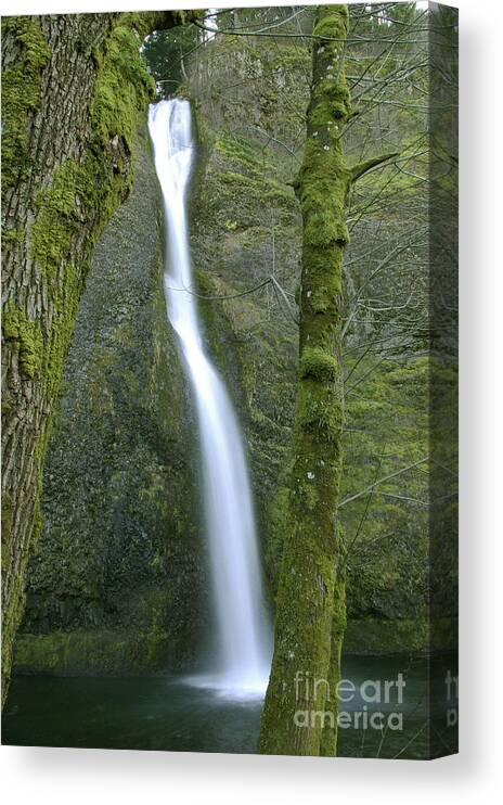 Waterfall Canvas Print featuring the photograph Horsetail Falls by Rick Bures