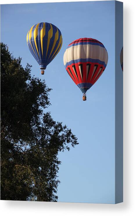 Balloons Canvas Print featuring the photograph Hot Air Balloons over Dansville NY by Gerald Salamone