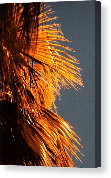Desert Canvas Print featuring the photograph Hot Air Frizzies by John Glass