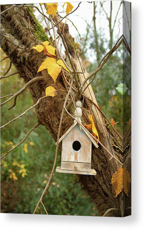 Birdhouse Canvas Print featuring the photograph House Available by Karen Ruhl