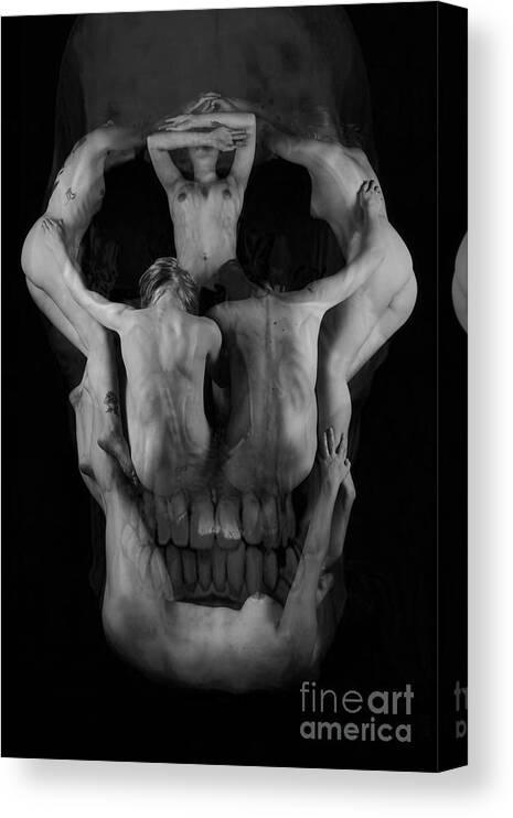 Artistic Photographs Canvas Print featuring the photograph Human skull by Robert WK Clark