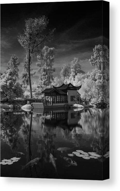 Garden Canvas Print featuring the photograph Huntington Chinese Botanical Garden in California with Koi Fish in Black and White Infrared by Randall Nyhof