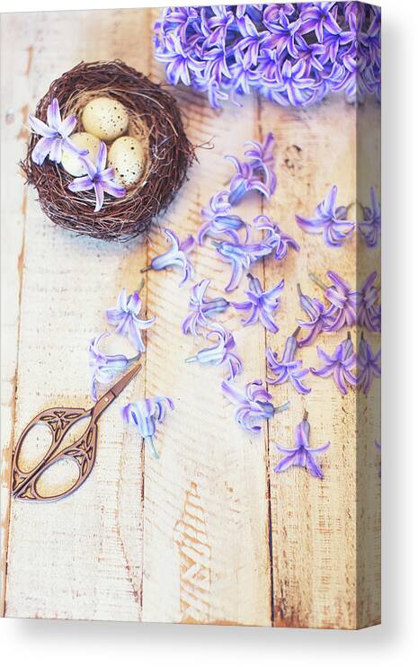 Hyacinth Canvas Print featuring the photograph Hyacinth Flowers and Nest by Susan Gary