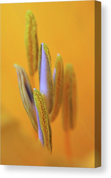 Abstract Canvas Print featuring the photograph I Can Lift You Up by Juergen Roth