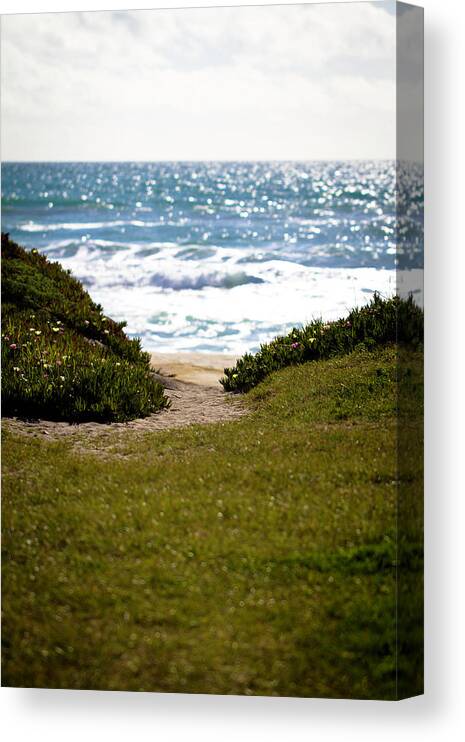 Beach Canvas Print featuring the photograph I Will Follow - Ocean Photography by Melanie Alexandra Price