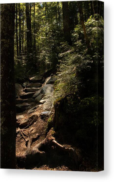 Maine Canvas Print featuring the photograph I Will Light Your Way by Holly Ross
