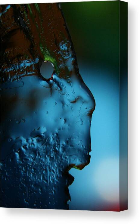 Face Canvas Print featuring the photograph Ice Face by Rachelle Johnston