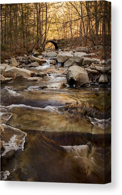 Landscape Canvas Print featuring the photograph Ice on Stickney Brook by Vance Bell