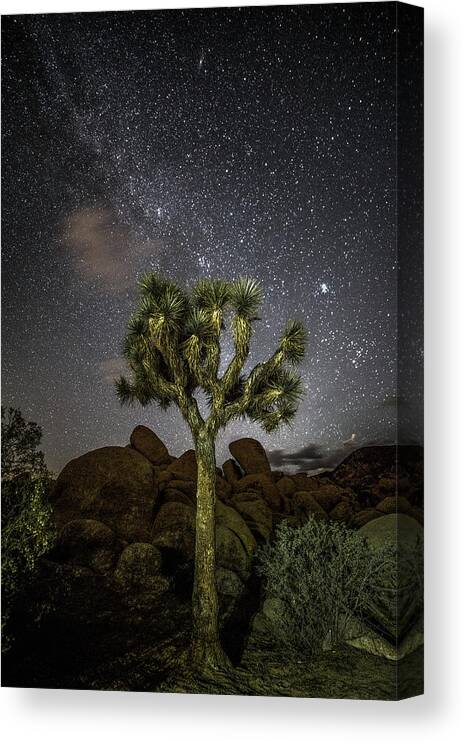 Astrophotography Canvas Print featuring the photograph Illuminati 09 by Ryan Weddle