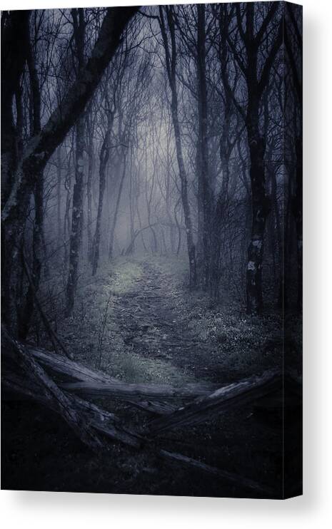 Fog Canvas Print featuring the photograph Into the Blue Ridge Parkway by Griffey's Sunshine Photography