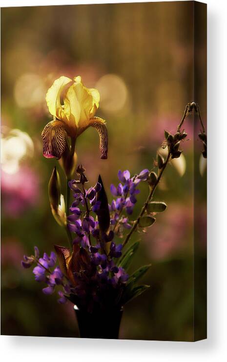 Iris Canvas Print featuring the photograph Iris 6 by Loni Collins