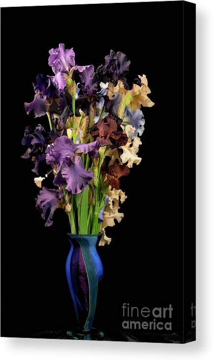 Iris Canvas Print featuring the photograph Iris Bouquet by Louise Magno