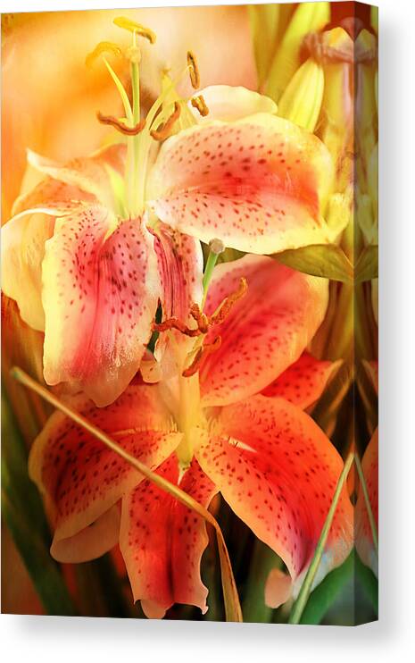 Lily Canvas Print featuring the photograph Isn't She Lovely by Theresa Campbell