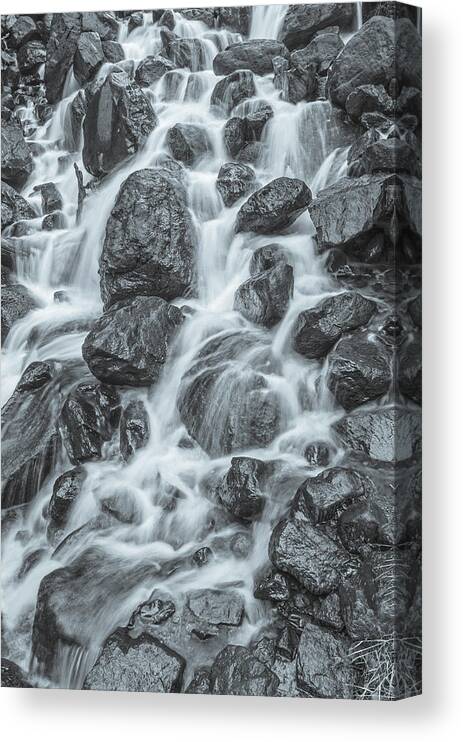 Silver Creek Canvas Print featuring the photograph It Is The Nature Of Love To Work In A Thousand Different Ways. by Bijan Pirnia