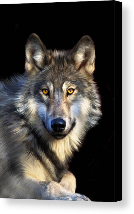 Wolf Canvas Print featuring the digital art Jacob by Julie L Hoddinott