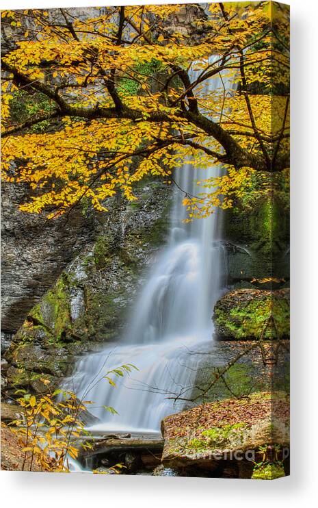 Art Canvas Print featuring the photograph Japanese Falls by Phil Spitze