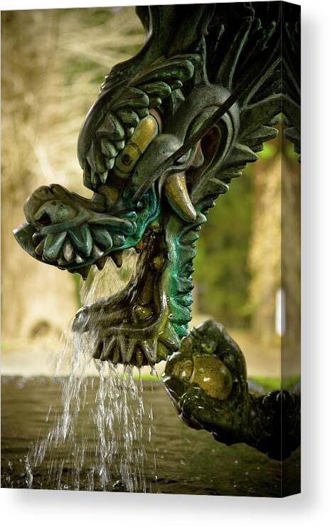 Fountain Canvas Print featuring the photograph Japanese Water Dragon by Sebastian Musial