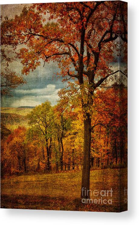 Tree Canvas Print featuring the photograph Just Another Day In Paradise. by Lois Bryan