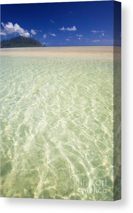 Attraction Canvas Print featuring the photograph Kaneohe Sandbar by Tomas del Amo - Printscapes