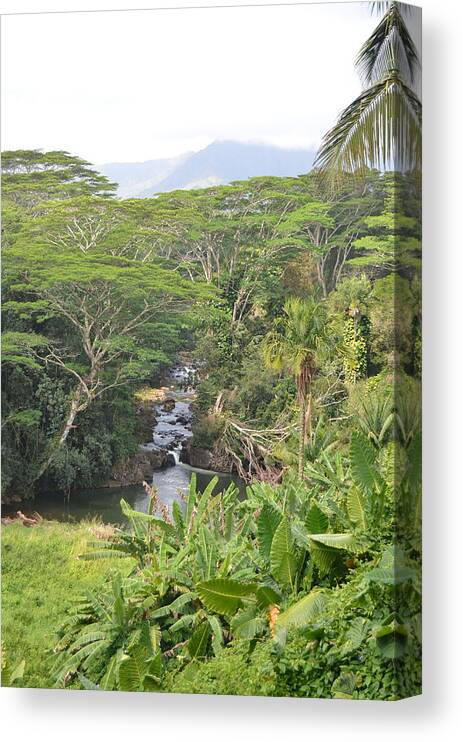 Kauai Canvas Print featuring the photograph Kauai Hindu Monastery River Valley 1 by Amy Fose