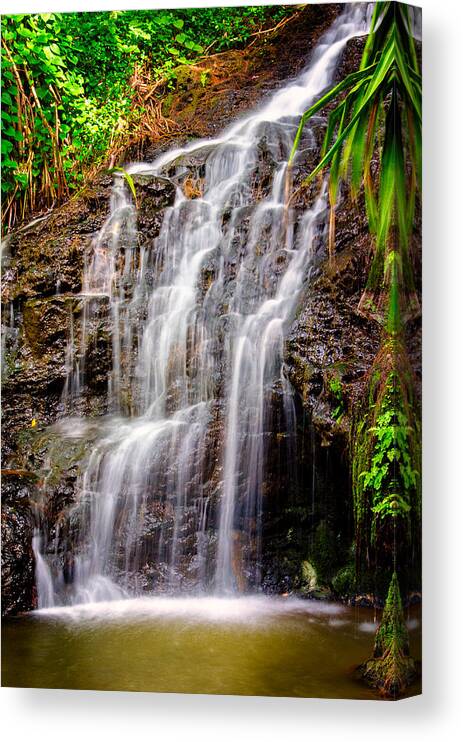 Hawaii Canvas Print featuring the photograph Kauai Water Cascade by Michael Ash