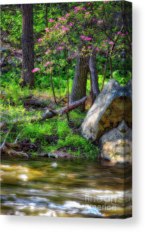 Landscape Canvas Print featuring the photograph Ken Lockwood Gorge Spring Scenic by George Oze