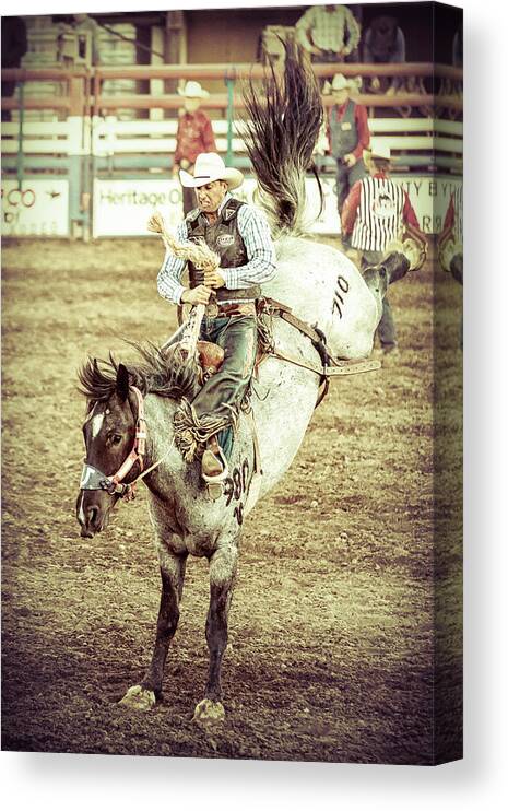 Bronco Riding Canvas Print featuring the photograph Kicks by Caitlyn Grasso
