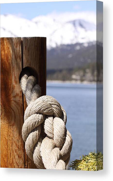 Knot Canvas Print featuring the photograph Knot in Tahoe by Jeff Floyd CA
