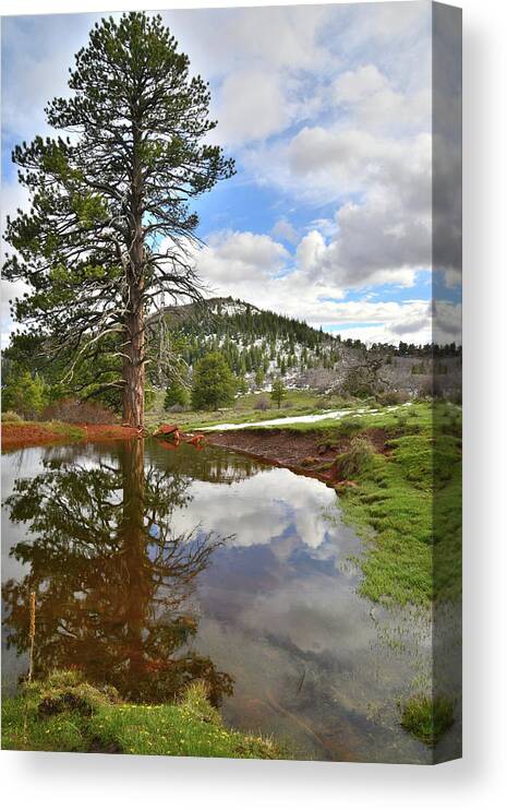 Zion National Park Canvas Print featuring the photograph Kolob Reflection by Ray Mathis