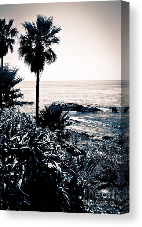 America Canvas Print featuring the photograph Laguna Beach California Black and White by Paul Velgos