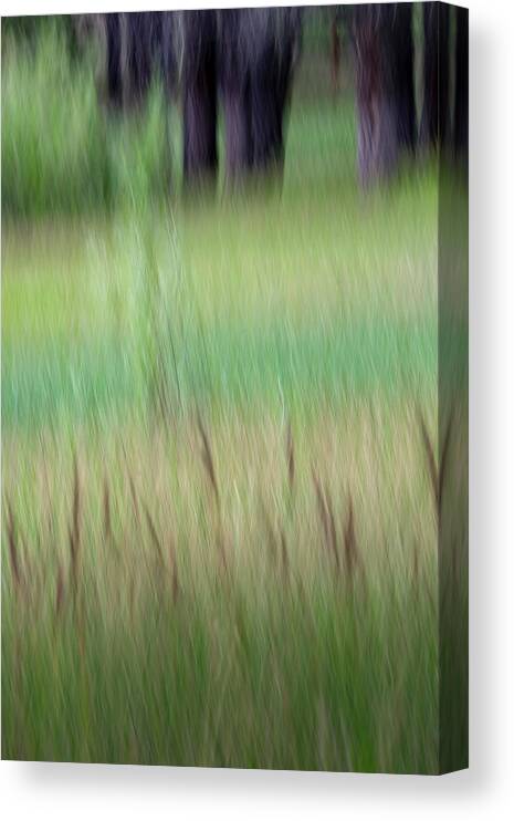 Grasses Canvas Print featuring the photograph Lake's Edge by Deborah Hughes