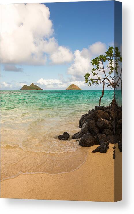 Lanikai Kailua Oahu Hawaii Beach Park Seascape Canvas Print featuring the photograph Lanikai Beach 1 - Oahu Hawaii by Brian Harig