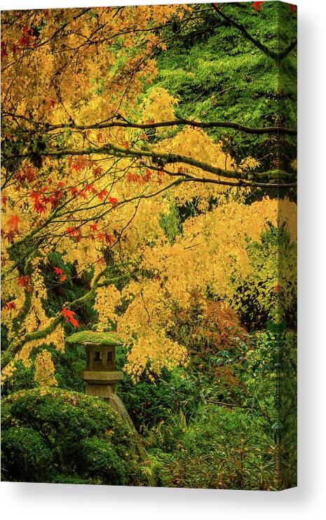 Autumn Canvas Print featuring the photograph Lantern in Fall Colors by Don Schwartz