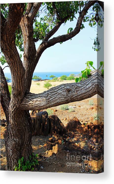 Lapakahi View Canvas Print featuring the photograph Lapakahi View by Jennifer Robin