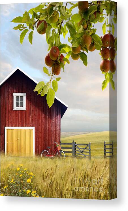 Atmosphere Canvas Print featuring the photograph Large red barn with bicycle in field of wheat by Sandra Cunningham