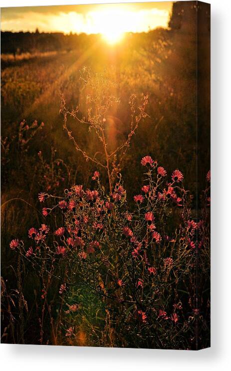 Sunsets Canvas Print featuring the photograph Last Glimpse Of Light by Jan Amiss Photography