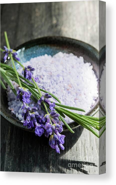 Bath Salts Canvas Print featuring the photograph Lavender bath salts in dish by Elena Elisseeva