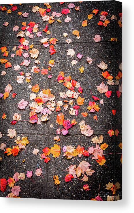 Autum Canvas Print featuring the photograph Leafy autumn walk by Framing Places