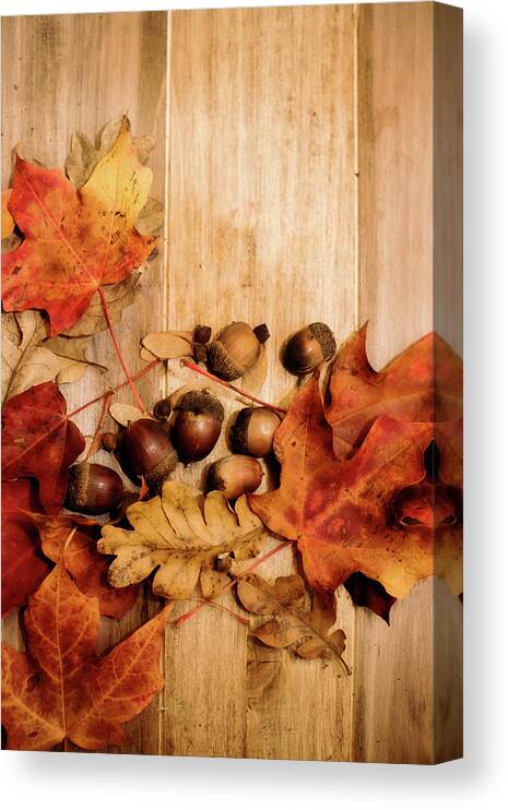 Leaves Canvas Print featuring the photograph Leaves and Nuts 2 by Rebecca Cozart