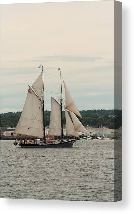 Seascape Canvas Print featuring the photograph Lewis R French Full Sail In Rockland Harbor by Doug Mills