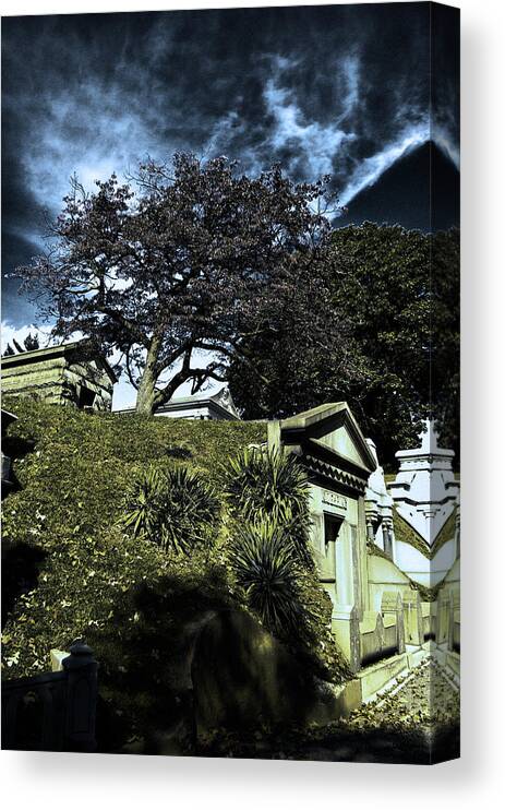 Cemetery Canvas Print featuring the photograph Life from Death by Scott Wyatt