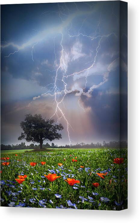 Barn Canvas Print featuring the photograph Lightning at Sunset After the Rain by Debra and Dave Vanderlaan